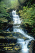Rickets Glen Vertical Falls