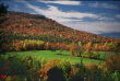Vermont Fall Field 2