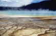 Yellowstone Steamy Pool